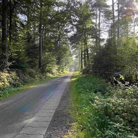 Lägenhet Schwarting In Wiefelstede